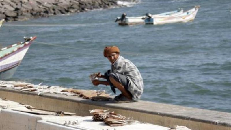 الإنتاج السمكي في البحر الأحمر يتراجع 80% جراء العدوان