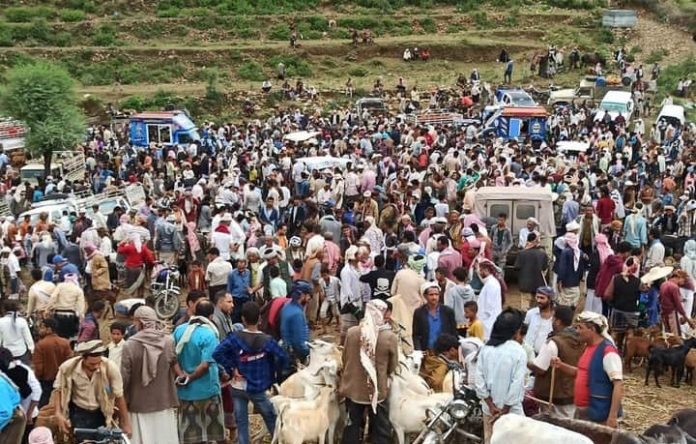 أضاحي العيد في اليمن