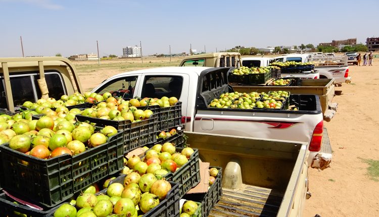 صعدة.. أبناء الحشوة يرفدون الجبهات بقافلة غذائية