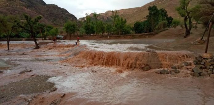 إصابة أربع نساء وطفل بهمدان