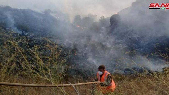 سوريا.. إخماد حريق في غابات حمص