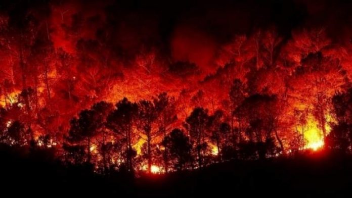 أمريكا.. حرائق كولورادو ما زالت مشتعلة منذ أغسطس