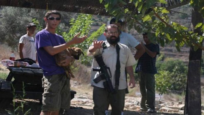 الضفة المحتلة.. المستوطنون يقطعون أشجار الزيتون ويعتدون على المزارعين الفلسطينيين