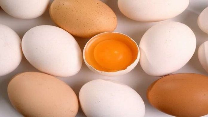 لمن البيض مفيد ولمن ضار.. ماذا يحصل عند تناول البيض يوميا!!