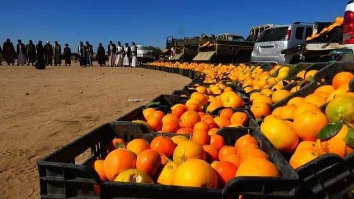 قافلة ووقفة لأبناء ال سالم بصعدة دعما واسنادا للمرابطين في الجبهات