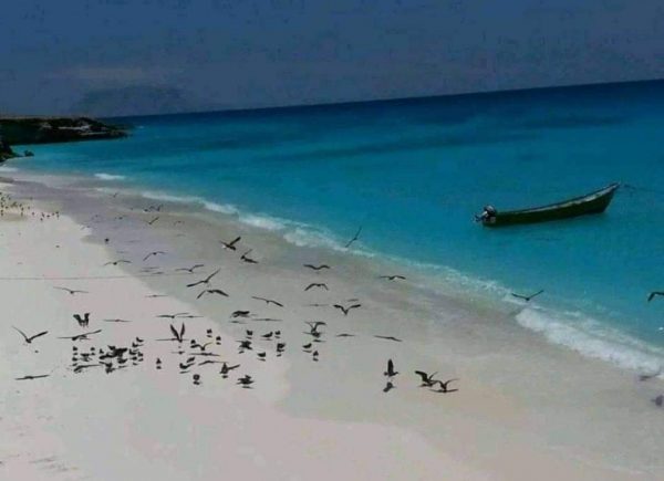 الاحتلال الإماراتي يمنع الصيادين من دخول جزيرة درسة