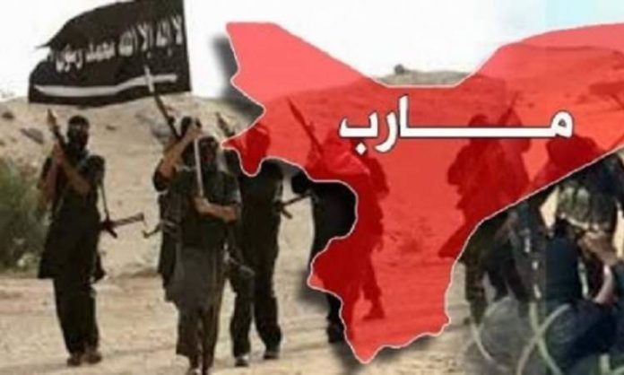 وزارة الداخلية تكشف عن نشاط تنظيم القاعدة الإرهابي في مأرب