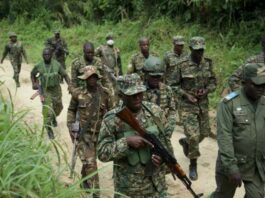 جمهورية الكونغو.. العثور على 17 جثة مقطوعة الرأس