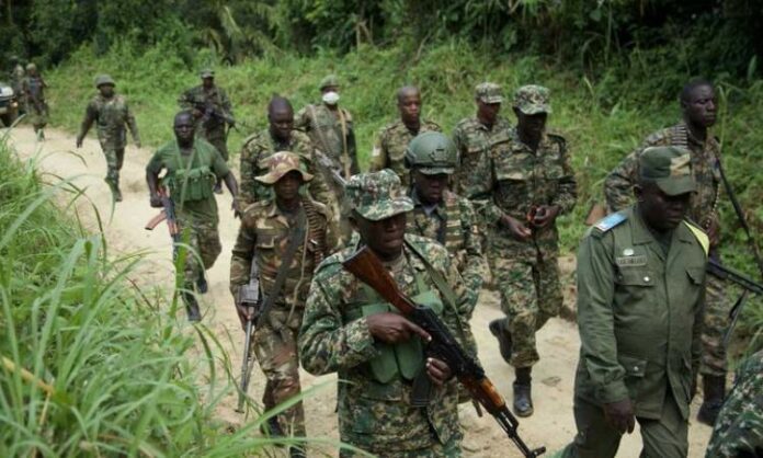 جمهورية الكونغو.. العثور على 17 جثة مقطوعة الرأس