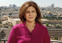 من ناجي العلي إلى شيرين أبو عاقلة ومن ناصر السعيد إلى خاشقجي.. كيانا العدو الصهيوني والسعودي “لا نجاعة للغدد السرطانية سوى الإستئصال” من ناجي العلي إلى شيرين أبو عاقلة ومن ناصر السعيد إلى خاشقجي