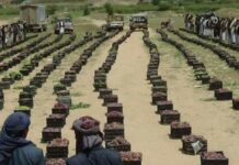 بني حشيش تقدم قافلة أعناب لأبطال الجيش واللجان الشعبية بني حشيش تقدم قافلة أعناب لأبطال الجيش واللجان الشعبية