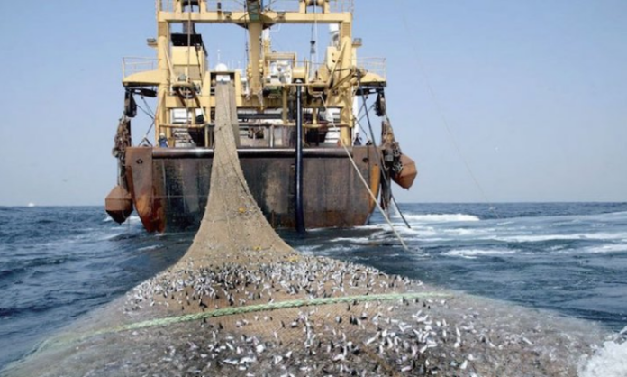 الثروة السمكية: تحالف العدوان يجرف الثروة السمكية اليمنية بأدوات محظورة دوليًا