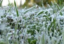 الأرصاد: “أجواء باردة إلى شديدة البرودة” خلال 24 ساعة وتحذيرات للفئات الأكثر تأثرًا الأرصاد: "أجواء باردة إلى شديدة البرودة" خلال 24 ساعة وتحذيرات للفئات الأكثر تأثرًا