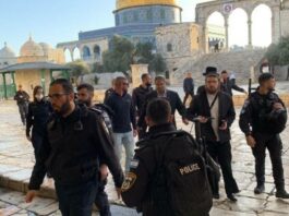 مستوطنون يقتحمون المسجد الأقصى في خامس أيام شهر رمضان