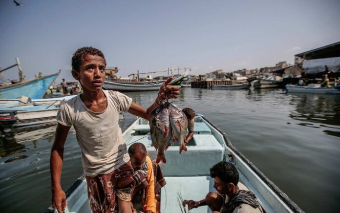 أكثر من 12 مليار دولار خسائر القطاع السمكي جراء العدوان والحصار