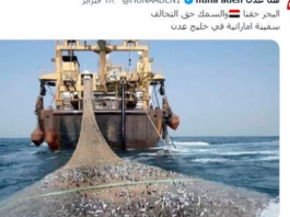 سفن إماراتية تجوب سواحل اليمن الشرقية مع قرار حظر تصدير الأسماك