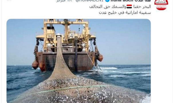 سفن إماراتية تجوب سواحل اليمن الشرقية مع قرار حظر تصدير الأسماك