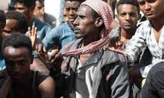 صنعاء تضبط عصابة متخصصة في تهريب المهاجرين غير الشرعيين