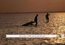 “صياد البروق” للبردوني.. إسقاط أسطوري على مشهد إسقاط طائرة MQ9 الأمريكية مع صائدي البروق في البحر الأحمر "صياد البروق" للبردوني.. إسقاط أسطوري على مشهد إسقاط طائرة MQ9 الأمريكية مع صائدي البروق في البحر الأحمر