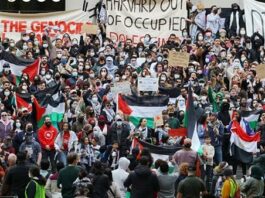امتداد الثورة الطلابية.. أكثر 44 جامعة أمريكية تواصل اعتصامها دعماً لغزّة رغم القمع وانضمام جامعة فالنسيا الإسبانية تنديداً بالعدوان الإسرائيلي