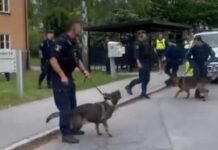 مظاهرات متواصلة في فرنسا دعماً لغزّة وقمع مظاهرة طلابية في السويد داعمة لفلسطين