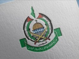 حماس ترد على المبعوث الأمريكي: “المقاومة وسلاحها حق مشروع ما دام الاحتلال قائماً”
