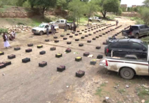 قافلة عنب من مديرية بني حشيش بمحافظة صنعاء للمرابطين في الجبهات قافلة عنب من مديرية بني حشيش بمحافظة صنعاء للمرابطين في الجبهات