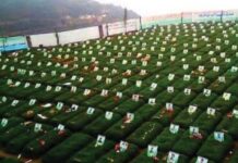 أين يجد اليمانيين احتفالاتهم وترفيههم؟ أين يجد اليمانيين احتفالاتهم وترفيههم؟