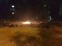 "صاروخ يمني" يثير هلع ورعب الصهاينة ويجبر ملايين منهم بما فيهم "السفير الأمريكي" الهروب إلى الملاجئ