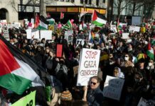 تظاهرة ضخمة في “لاهاي” تندد بالإبادة الجماعية ورفض دولي واسع لآلية المساعدات الإسرائيلية في غزة