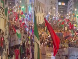 104 تظاهرة في 60 مدينة.. المغرب تنتفض نصرة لغزة ورفضًا للتجويع والتطبيع