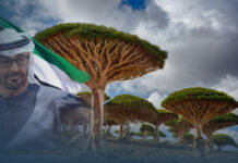 الإمارات تسيطر على أكبر “اكتشاف نفطي” قبالة سواحل “سقطرى” اليمنية الإمارات تسيطر على أكبر "اكتشاف نفطي" قبالة سواحل "سقطرى" اليمنية