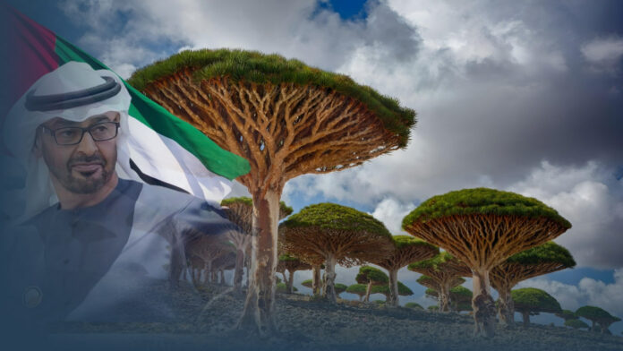 الإمارات تسيطر على أكبر 