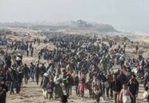 وول ستريت جورنال: مخطط صهيوني لاقتلاع فلسطينيي غزة وتهجيرهم قسراً إلى دول عربية وإفريقية