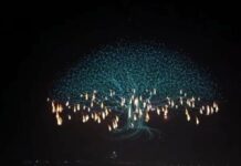 الصين تدخل التاريخ بـ16 ألف طائرة مسيّرة في عرضٍ واحد يحبس الأنفاس