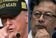 كولومبيا تستدعي سفيرها من واشنطن بعد تهديدات ترامب واتهامه الرئيس بيترو بـ“زعيم تجارة مخدرات”