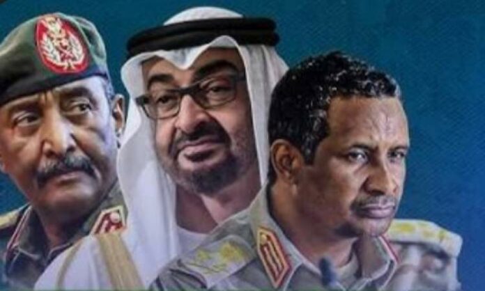 ٢٠٢٥١٠٢٨_١٥٢٦٥٢_medium