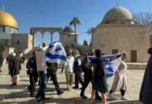 تصعيد خطير في القدس المحتلة: 1138 مستوطناً يقتحمون المسجد الأقصى وسط حمايةٍ إسرائيلية مشددة