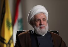 الشيخ نعيم قاسم: التحية للقيادة في اليمن وللقوات المسلحة والشعب اليمني.. “أنتم إن شاء الله طلائع التحرير”