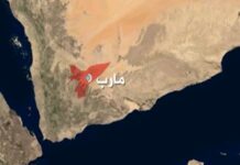 جريمة جديدة في مأرب.. مرتزقة العدوان يقتلون مواطنين بدم بارد في نقطة تفتيش بصافر