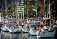 الإعلان عن أسطول دولي جديد للإبحار نحو غزة وكسر الحصار